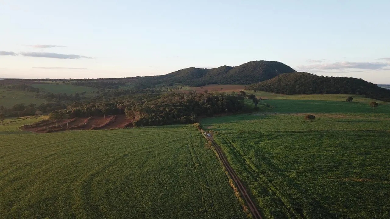 Fazenda à venda de 390 ha em Piracanjuba, GO, Brasil