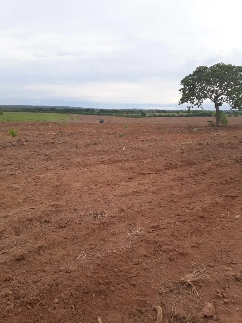 Fazenda à venda de 390 ha em Piracanjuba, GO, Brasil