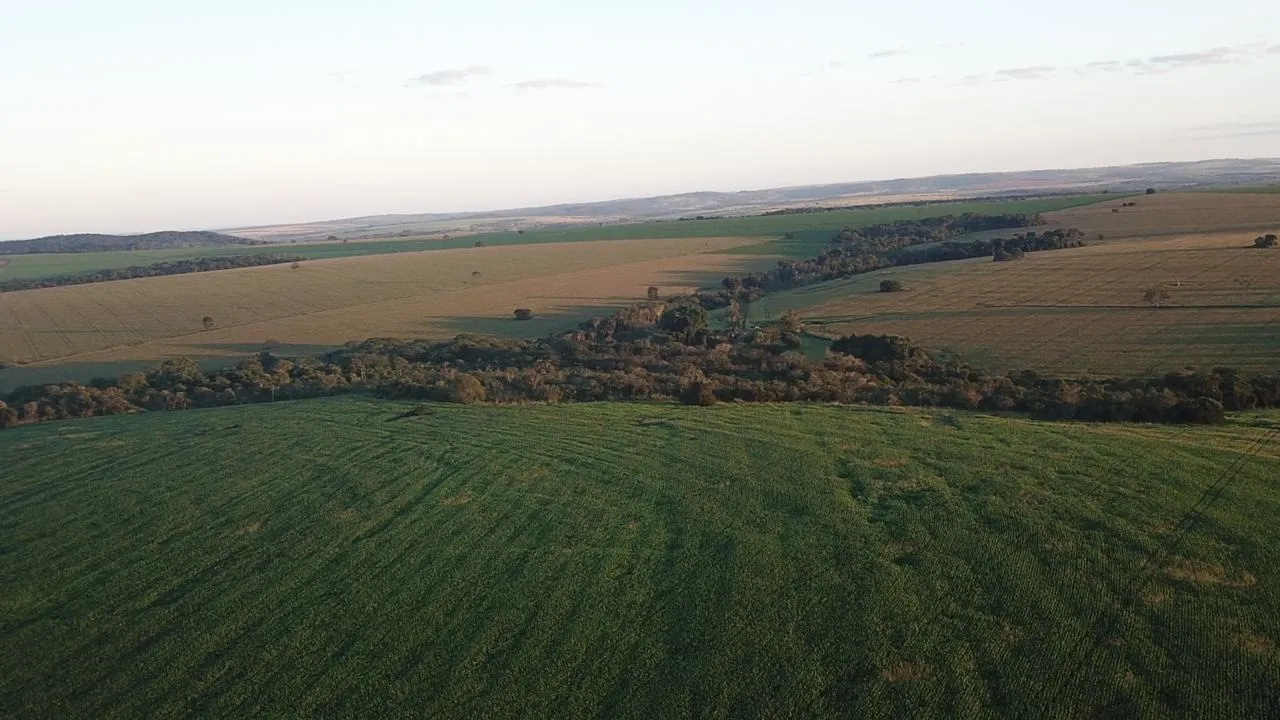Fazenda à venda de 390 ha em Piracanjuba, GO, Brasil