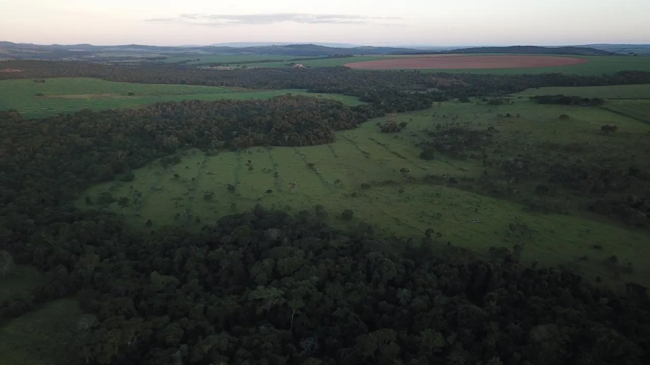 Fazenda à venda de 390 ha em Piracanjuba, GO, Brasil