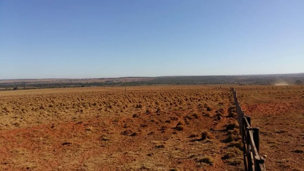 Fazenda à venda de 390 ha em Piracanjuba, GO, Brasil