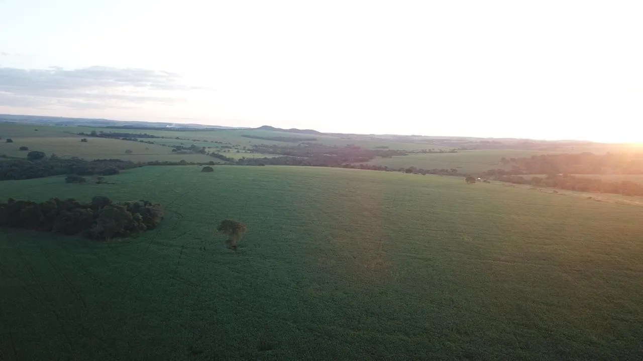 Fazenda à venda de 390 ha em Piracanjuba, GO, Brasil