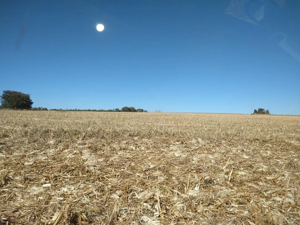 Fazenda à venda de 390 ha em Piracanjuba, GO, Brasil