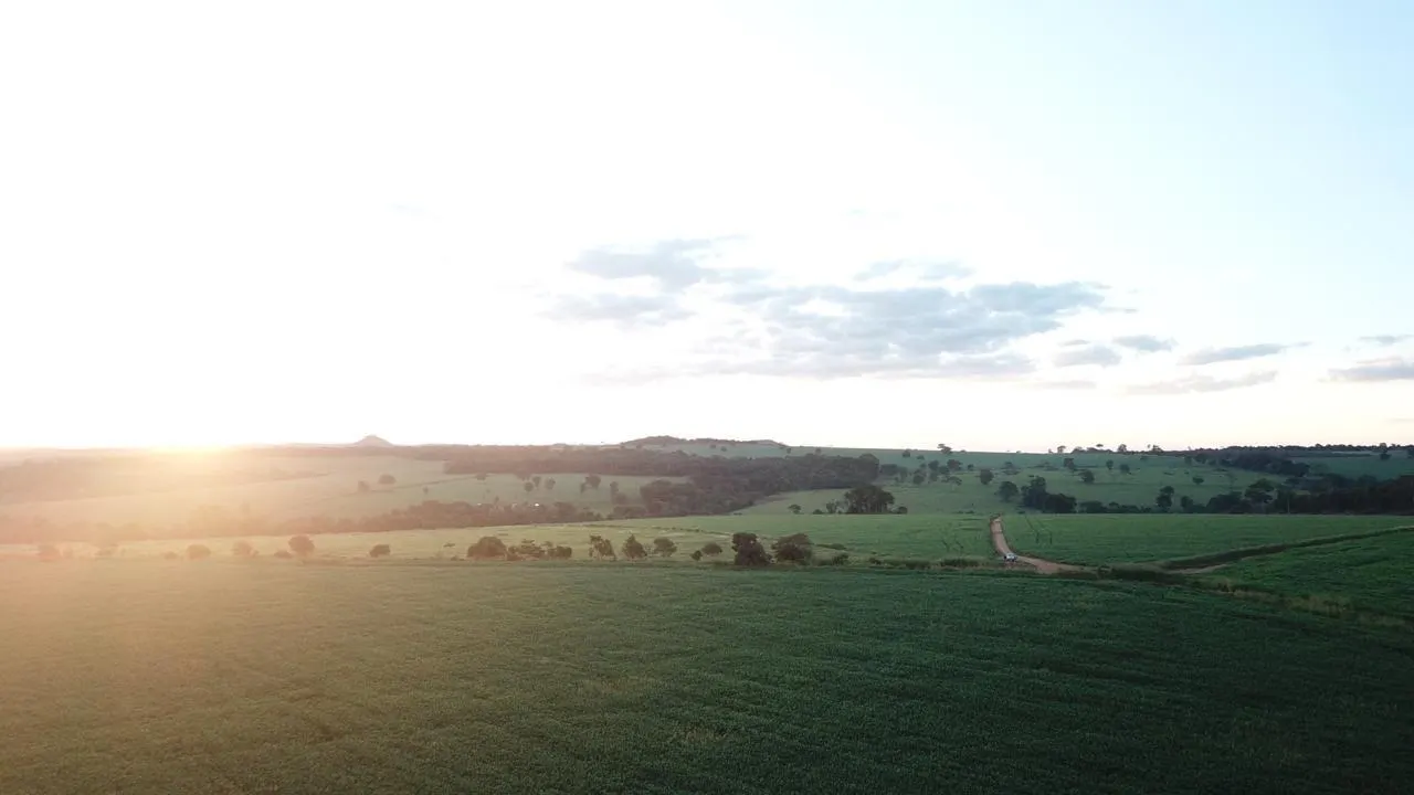 Fazenda à venda de 390 ha em Piracanjuba, GO, Brasil