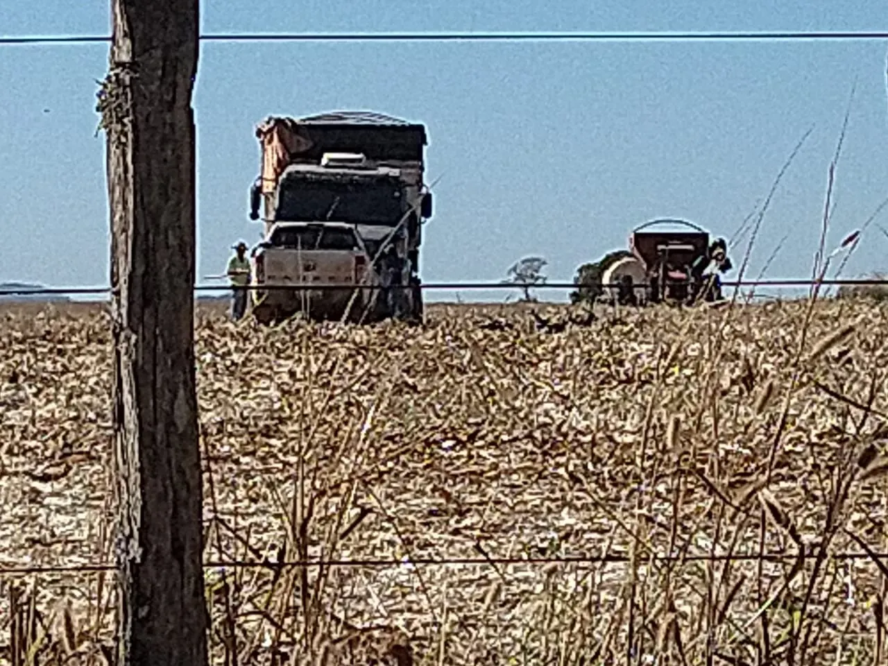 Fazenda à venda de 390 ha em Piracanjuba, GO, Brasil