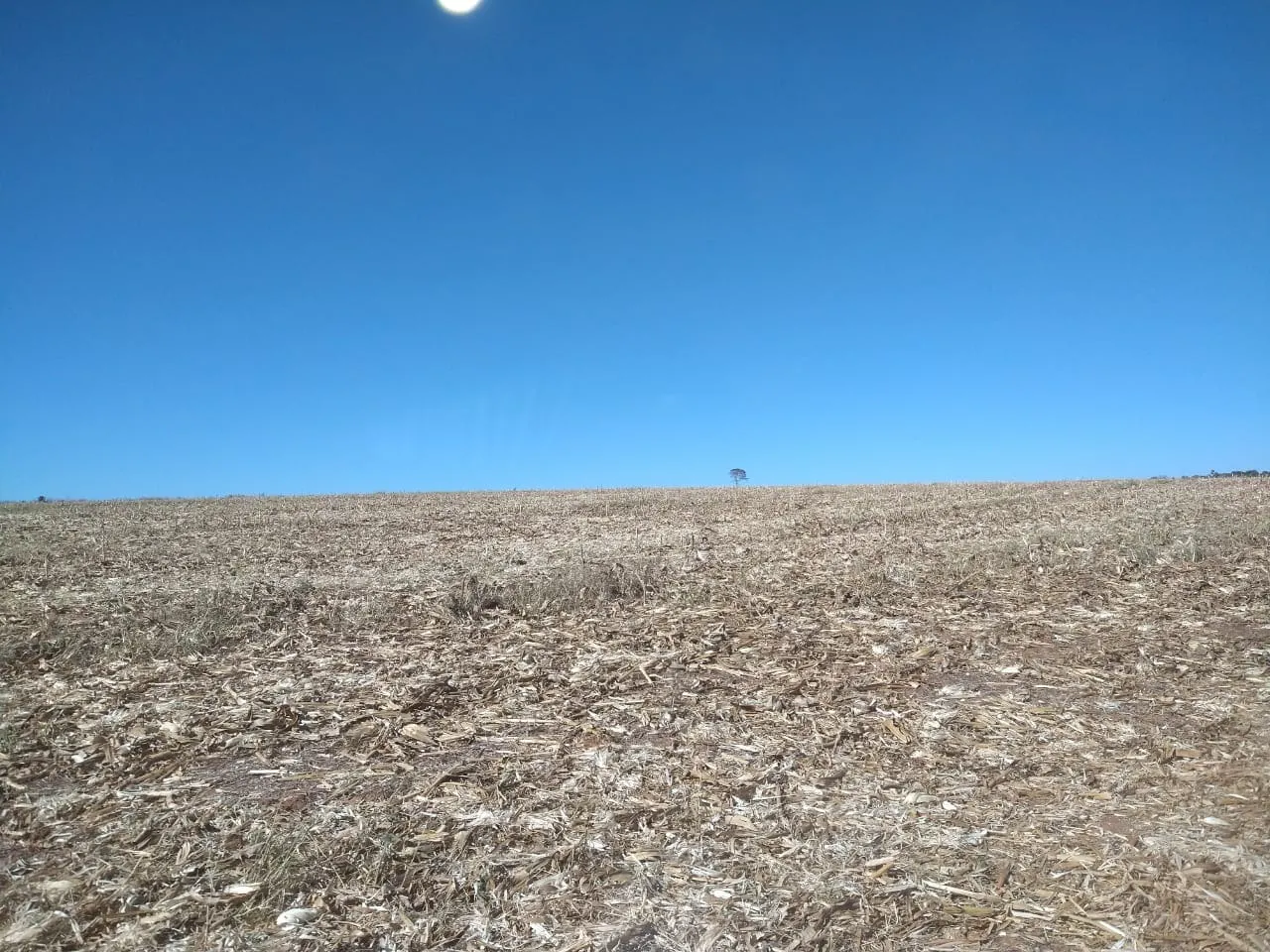 Fazenda à venda de 390 ha em Piracanjuba, GO, Brasil