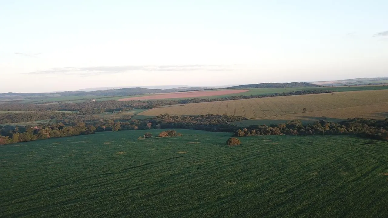 Fazenda à venda de 390 ha em Piracanjuba, GO, Brasil