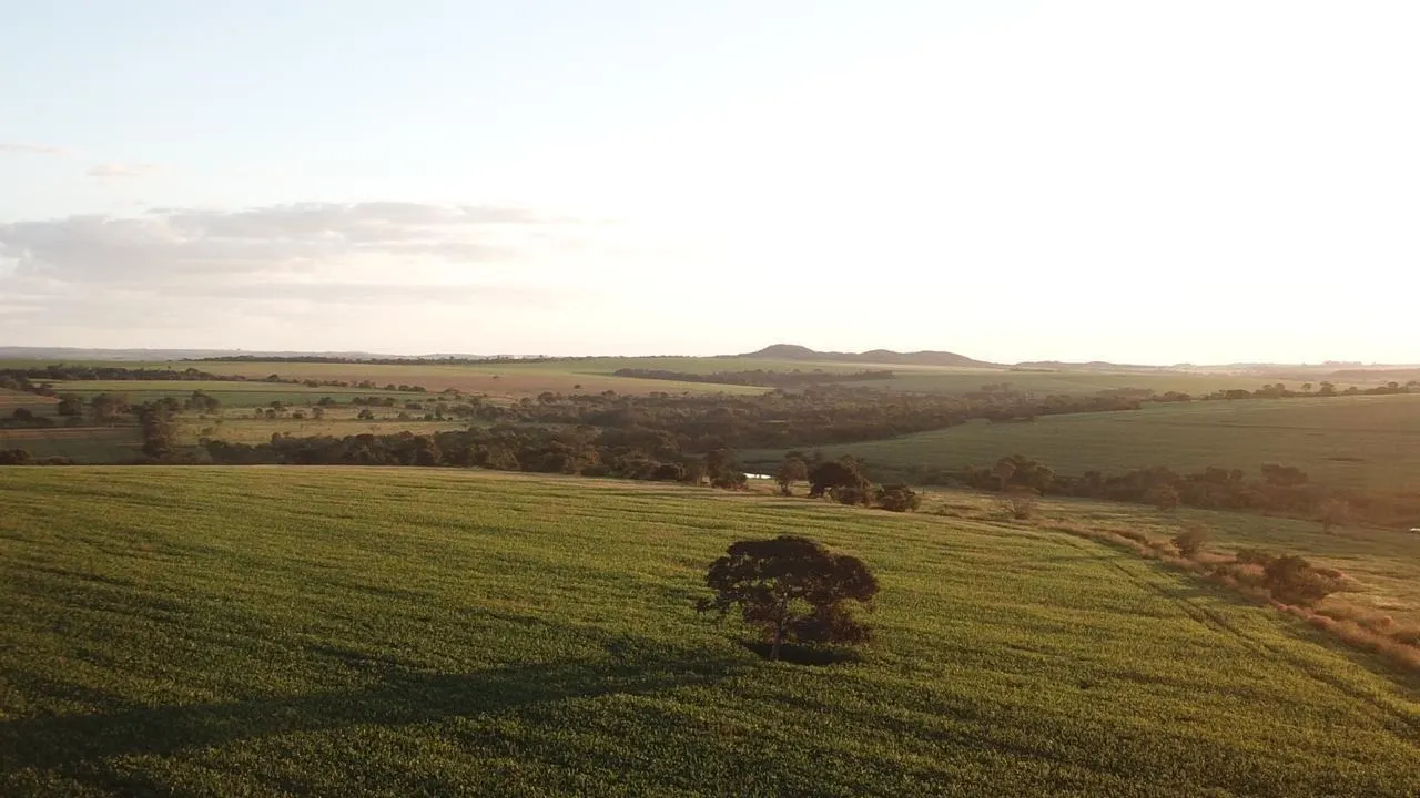 Fazenda à venda de 390 ha em Piracanjuba, GO, Brasil