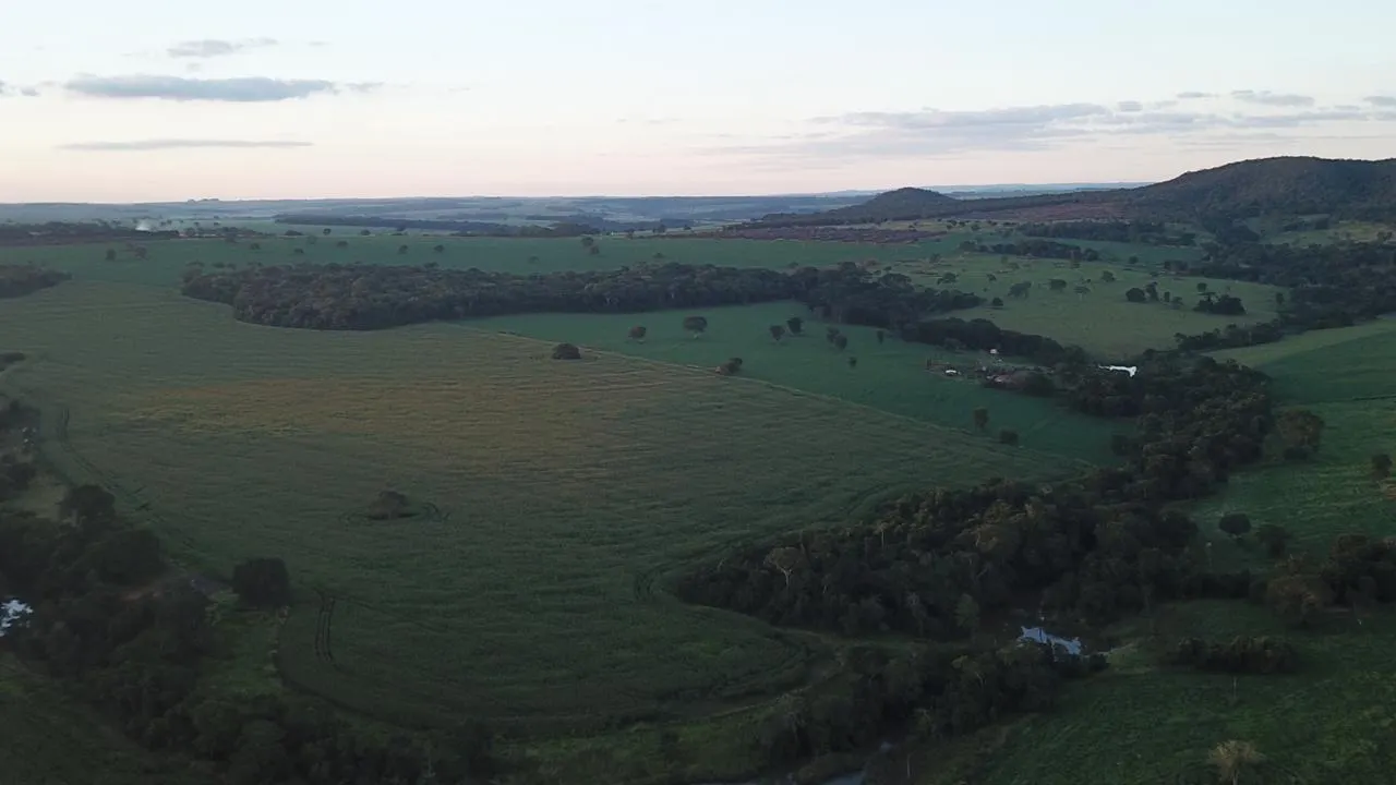 Fazenda à venda de 390 ha em Piracanjuba, GO, Brasil