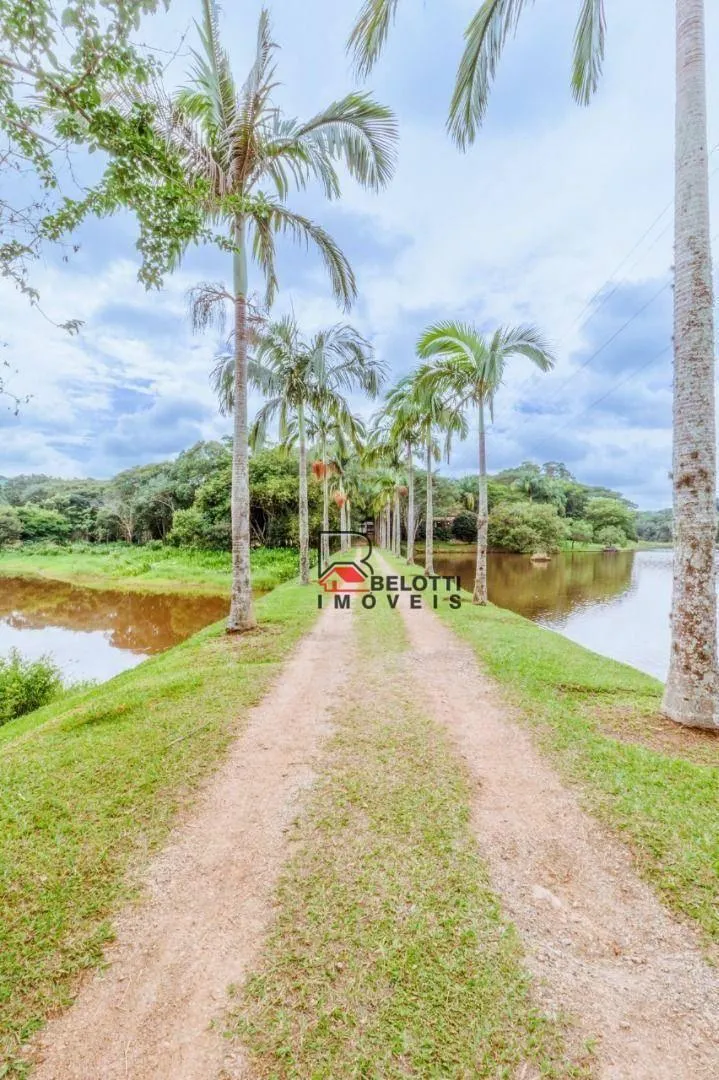 Fazenda à venda de 459 ha em Bragança Paulista, SP, Brasil