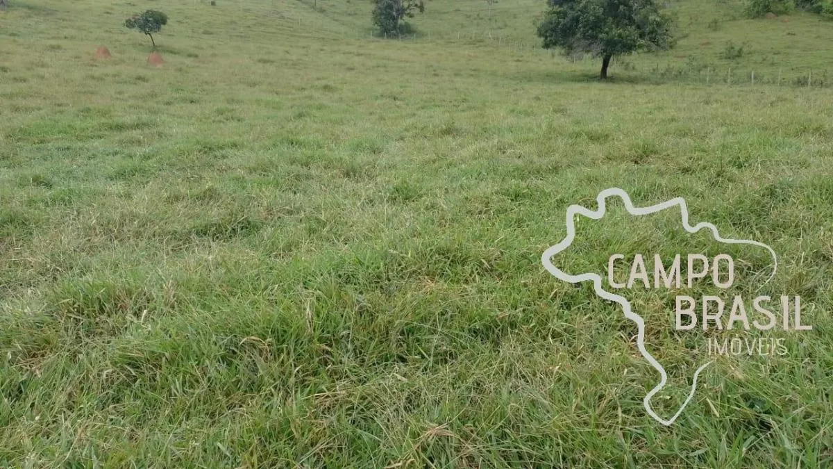 Small farm for sale of 12 acres in Paraibuna, SP, Brazil