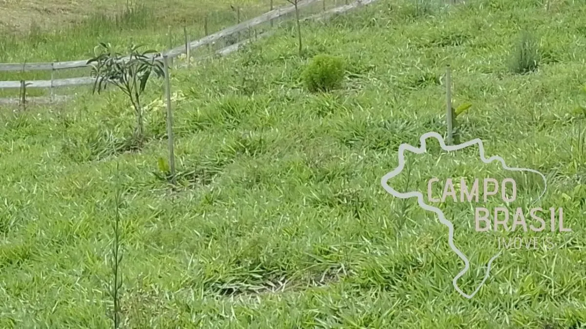 Small farm for sale of 12 acres in Paraibuna, SP, Brazil