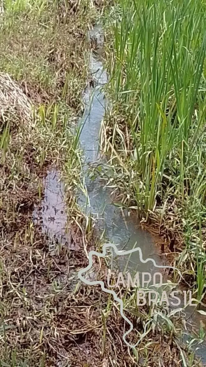 Small farm for sale of 12 acres in Paraibuna, SP, Brazil