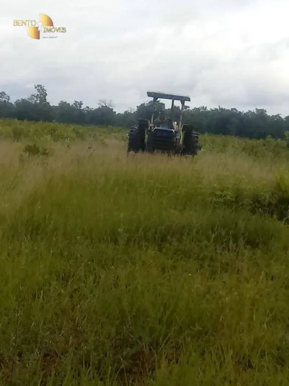 Fazenda à venda de 337 ha em Rondonópolis, MT, Brasil