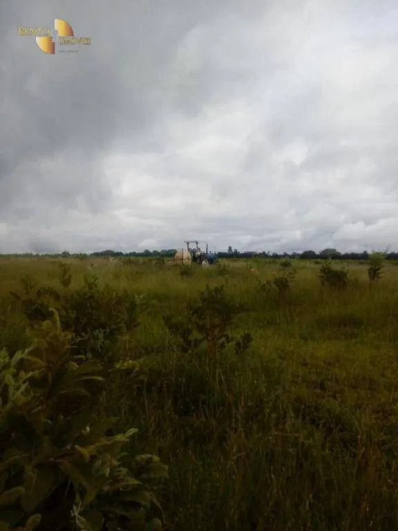 Fazenda à venda de 337 ha em Rondonópolis, MT, Brasil