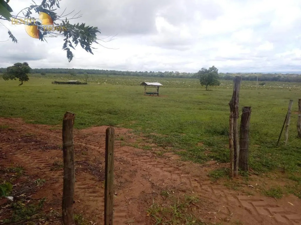 Fazenda à venda de 337 ha em Rondonópolis, MT, Brasil