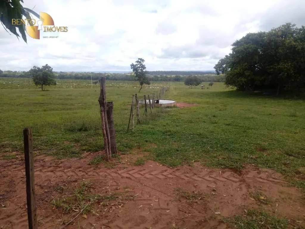 Fazenda à venda de 337 ha em Rondonópolis, MT, Brasil