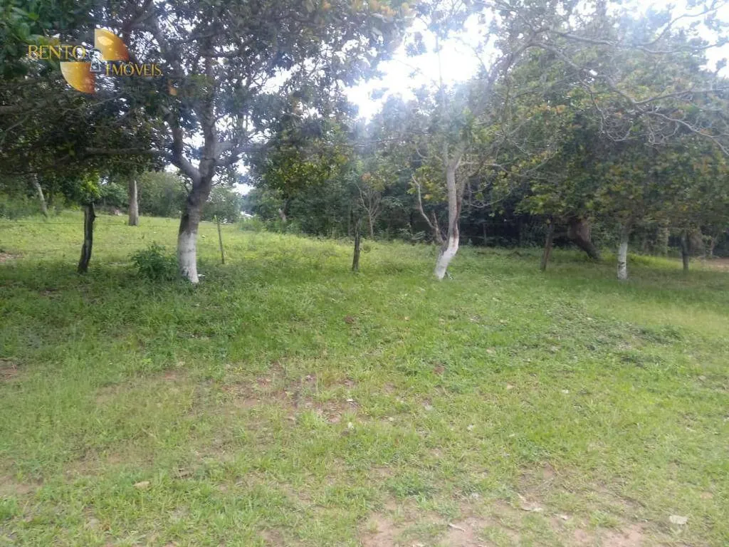Fazenda à venda de 337 ha em Rondonópolis, MT, Brasil