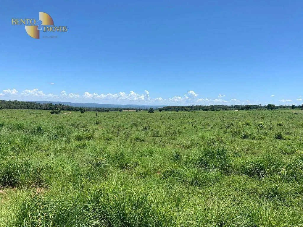 Fazenda à venda de 337 ha em Rondonópolis, MT, Brasil