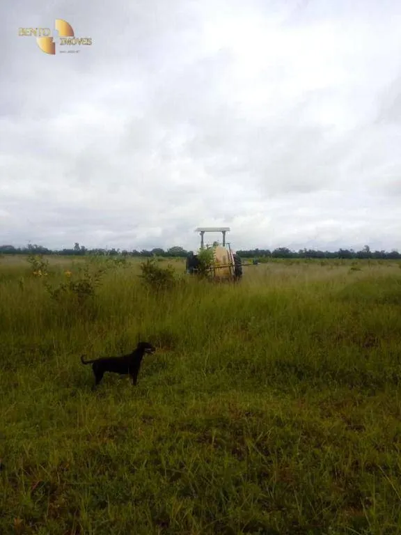 Fazenda à venda de 337 ha em Rondonópolis, MT, Brasil