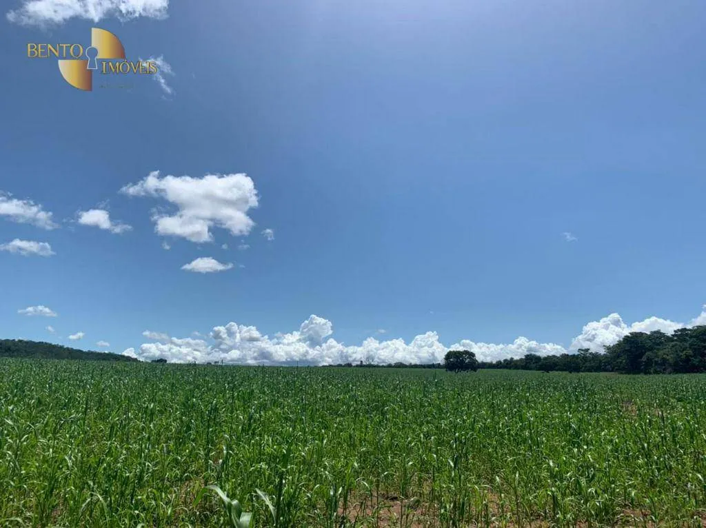 Fazenda à venda de 337 ha em Rondonópolis, MT, Brasil