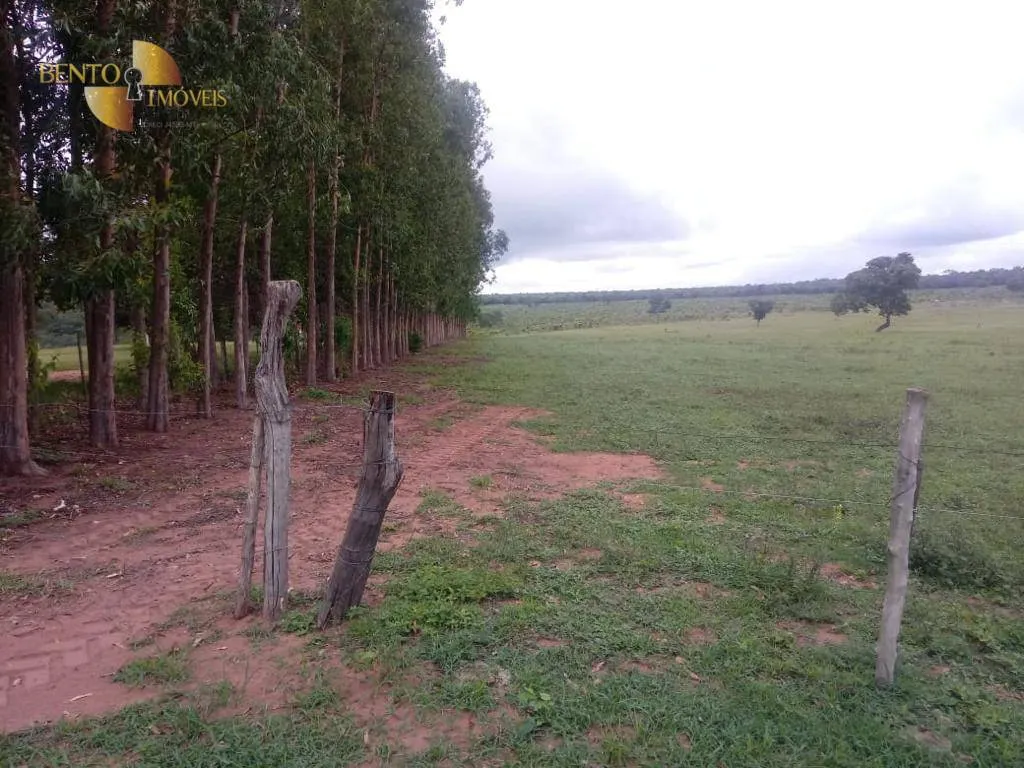 Fazenda à venda de 337 ha em Rondonópolis, MT, Brasil
