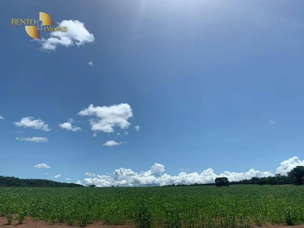 Fazenda à venda de 337 ha em Rondonópolis, MT, Brasil