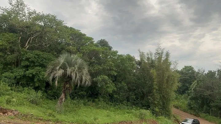 Chácara à venda de 4 ha em Santo Antônio da Patrulha, RS, Brasil