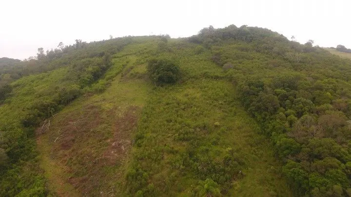Chácara à venda de 4 ha em Santo Antônio da Patrulha, RS, Brasil