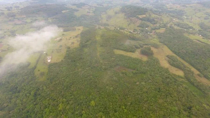 Chácara à venda de 4 ha em Santo Antônio da Patrulha, RS, Brasil