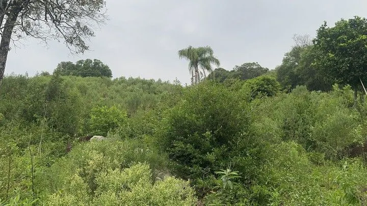 Chácara à venda de 4 ha em Santo Antônio da Patrulha, RS, Brasil