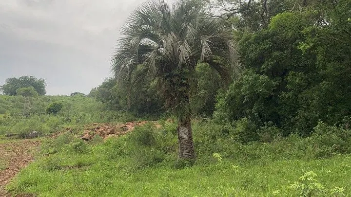 Chácara à venda de 4 ha em Santo Antônio da Patrulha, RS, Brasil