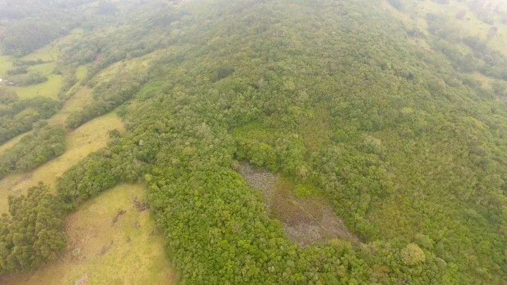 Chácara à venda de 4 ha em Santo Antônio da Patrulha, RS, Brasil