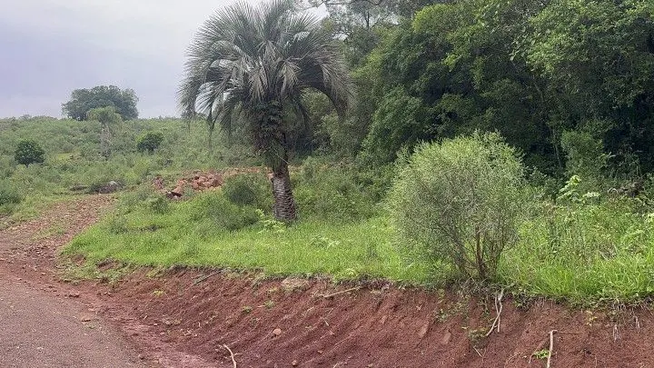 Chácara à venda de 4 ha em Santo Antônio da Patrulha, RS, Brasil