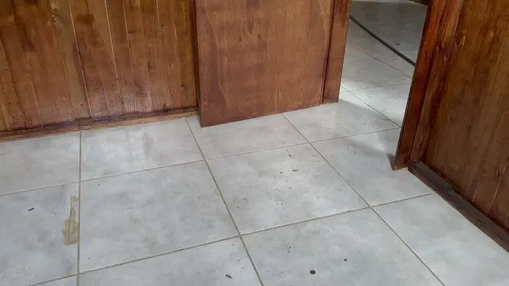 Chácara à venda de 4 ha em Santo Antônio da Patrulha, RS, Brasil