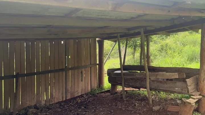 Chácara à venda de 4 ha em Santo Antônio da Patrulha, RS, Brasil