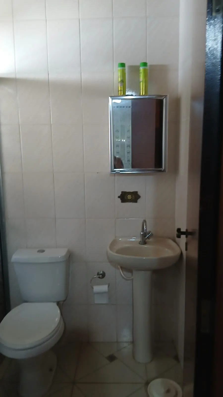 Chácara à venda e para Arrendar de 6.000 m² em Cesário Lange, SP, Brasil