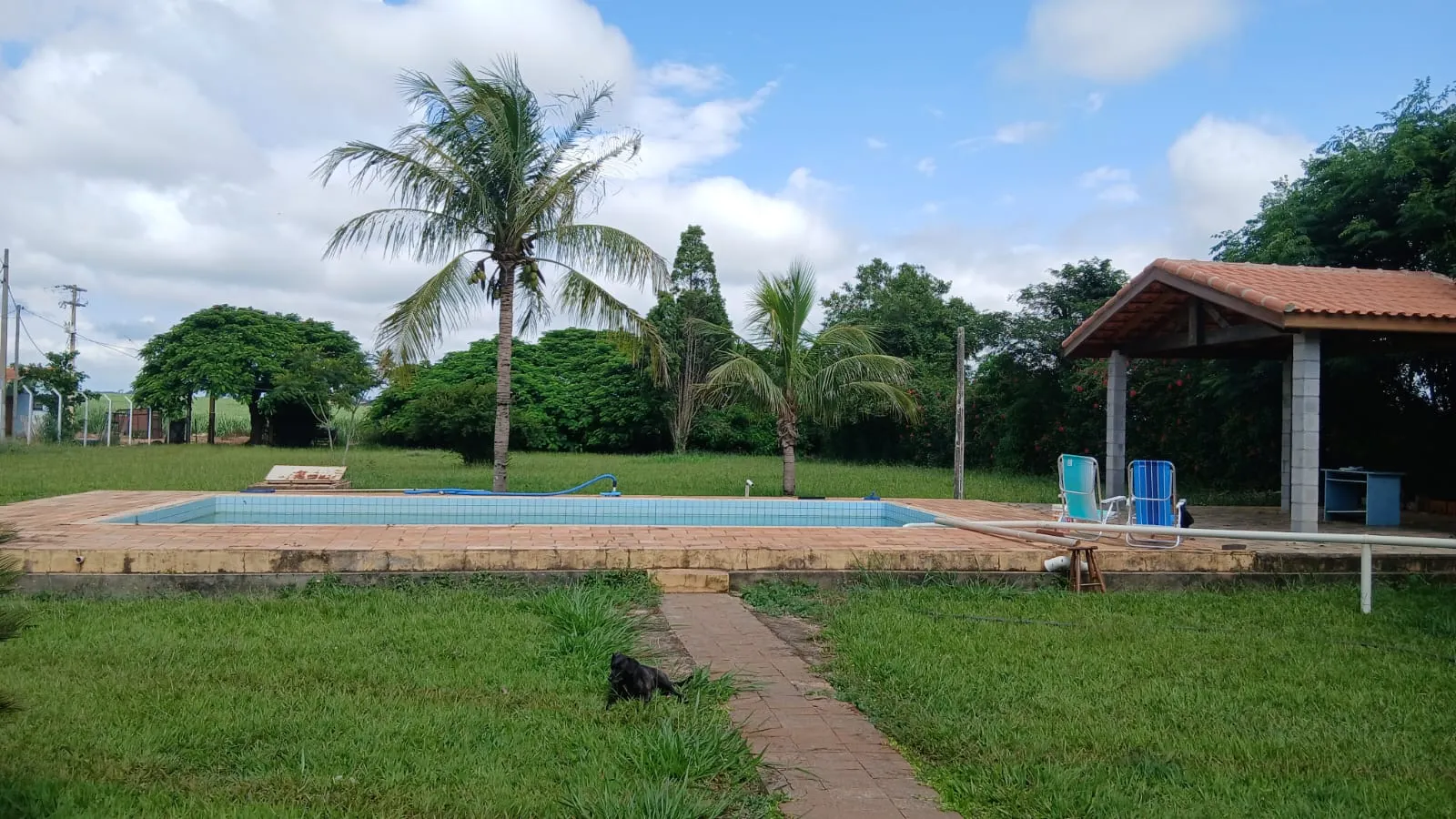 Chácara à venda e para Arrendar de 6.000 m² em Cesário Lange, SP, Brasil