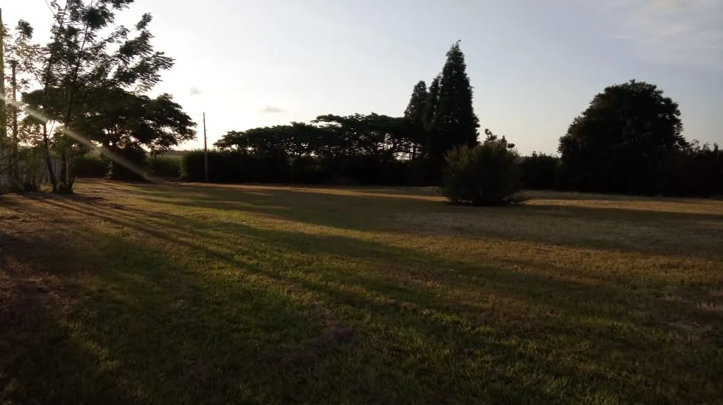 Chácara à venda e para Arrendar de 6.000 m² em Cesário Lange, SP, Brasil