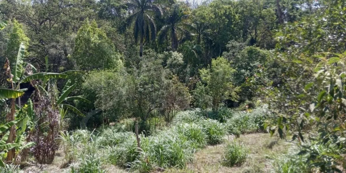 Sítio à venda de 8 ha em Pedra Bela, SP, Brasil
