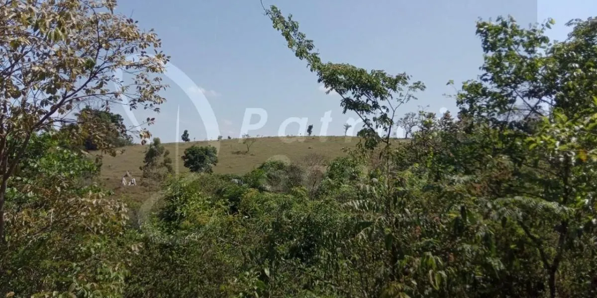 Sítio à venda de 8 ha em Pedra Bela, SP, Brasil