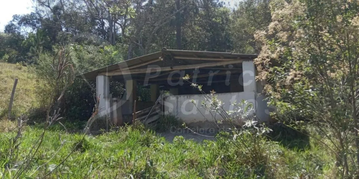 Sítio à venda de 8 ha em Pedra Bela, SP, Brasil