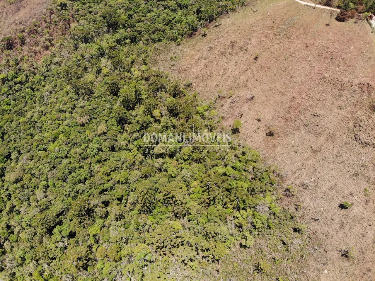 Plot for sale of 9 acres in Campos do Jordão, SP, Brazil