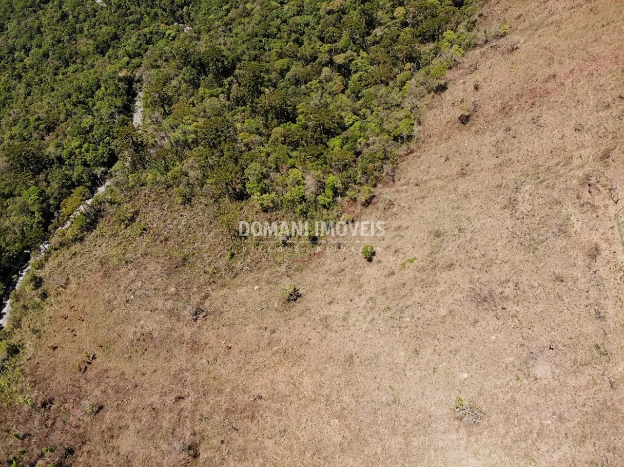 Plot for sale of 9 acres in Campos do Jordão, SP, Brazil