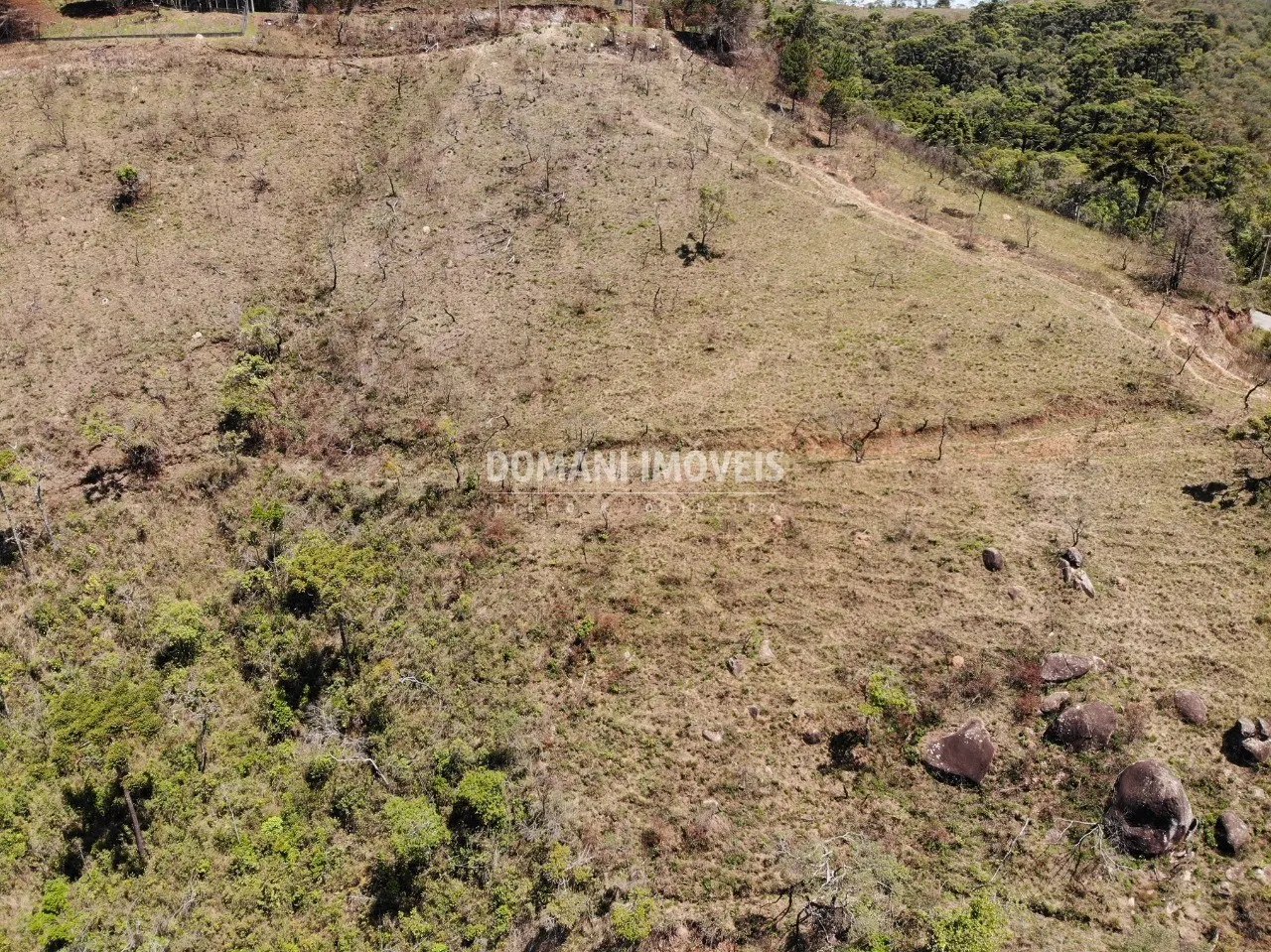 Plot for sale of 9 acres in Campos do Jordão, SP, Brazil