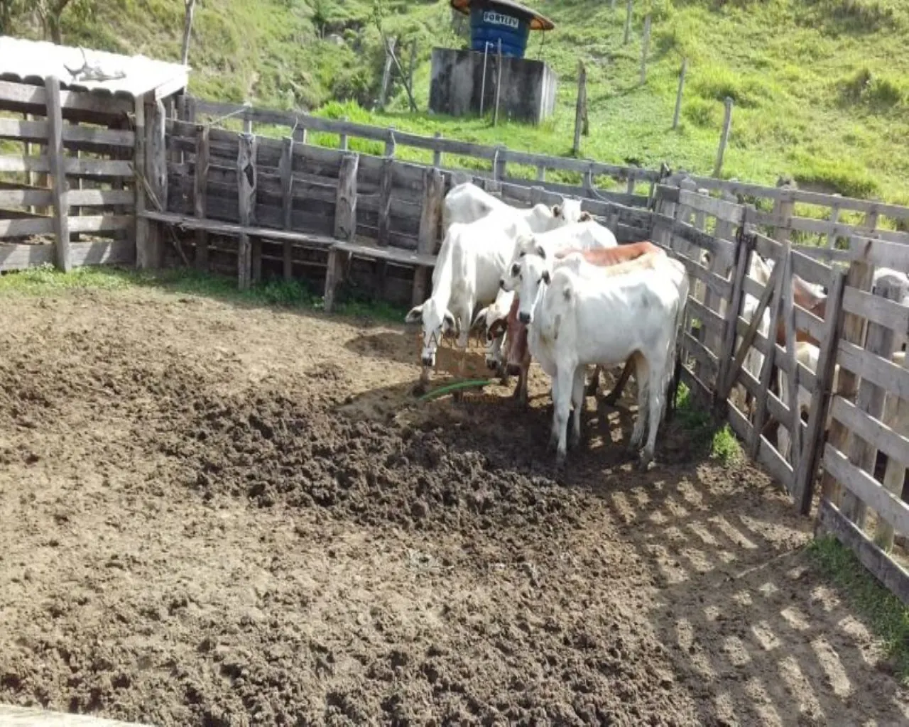 Farm for sale of 299 acres in Cunha, SP, Brazil