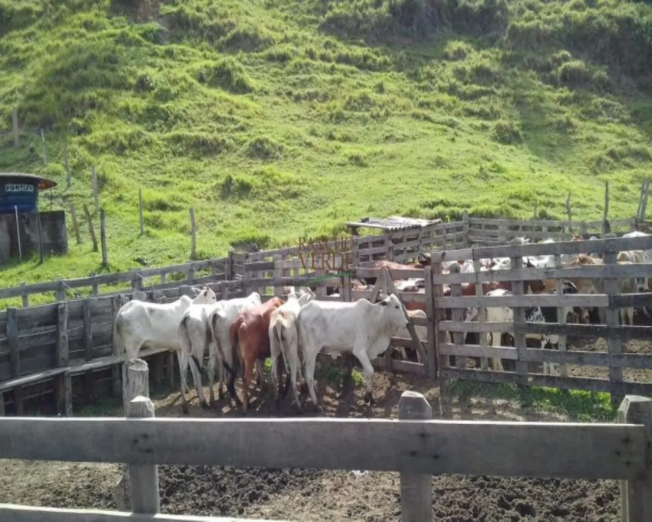 Farm for sale of 299 acres in Cunha, SP, Brazil