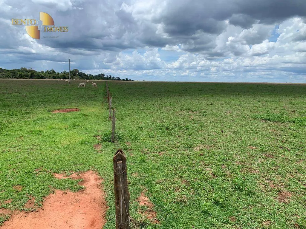 Fazenda à venda de 2.035 ha em Paranatinga, MT, Brasil