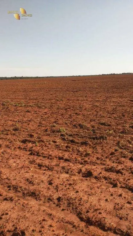 Fazenda à venda de 2.035 ha em Paranatinga, MT, Brasil