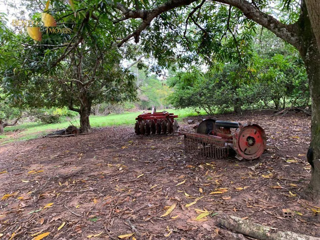 Fazenda à venda de 2.035 ha em Paranatinga, MT, Brasil